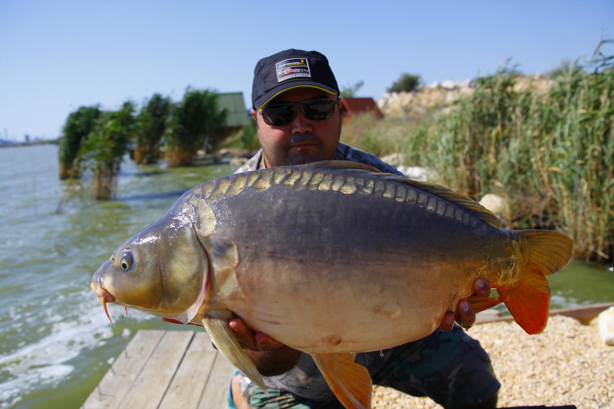 My Passion - mg0487.JPG